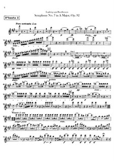 Vollständiger Sinfonie: Flötenstimmen by Ludwig van Beethoven