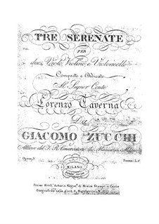 Drei Serenaden für Bratsche und Streicher, Op.3: Serenade Nr.2 by Giacomo Zucchi