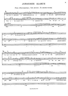 Sub Arturo plebs: Sub Arturo plebs by Johannes Alanus