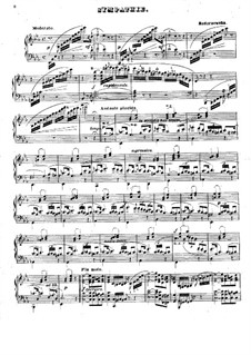 Sympathie: Für einen Interpreten by Tekla Bądarzewska-Baranowska