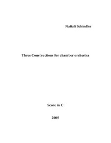 Three Constructions: Three Constructions by Naftali Schindler