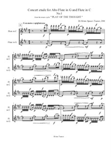 Concert etude for Alto Flute in G and Flute in C: Concert etude for Alto Flute in G and Flute in C by Christo Tsanoff