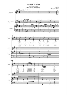 An den Winter, Op.48: An den Winter by Jürgen Pfaffenberger