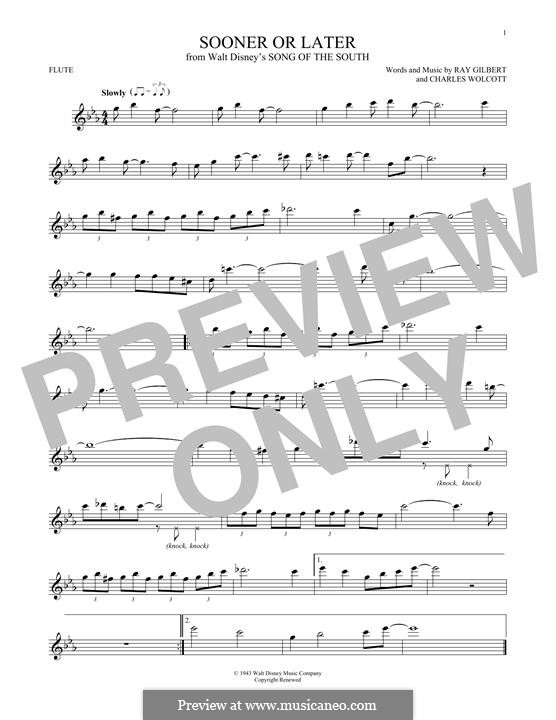 Sooner or Later (from Disney's Song of the South): Für Flöte by Charles Wolcott, Ray Gilbert