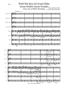 Jesus bleibet: For clarinet quartet and strings by Johann Sebastian Bach