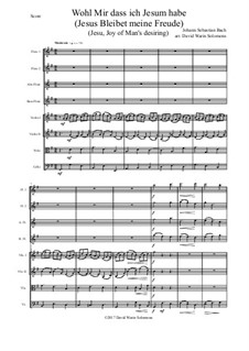 Jesus bleibet: For flute quartet and strings by Johann Sebastian Bach