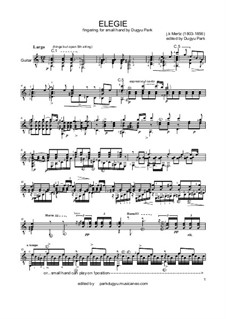 Elegie: Für Gitarre by Johann Kaspar Mertz