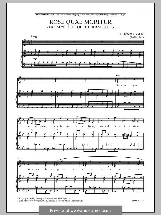 Rose Quae Moritur (from O Qui Coeli Terraeque): Für Stimme und Klavier by Antonio Vivaldi