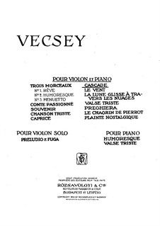 Caprice No.2 'Cascade': Caprice No.2 'Cascade' by Franz von Vecsey