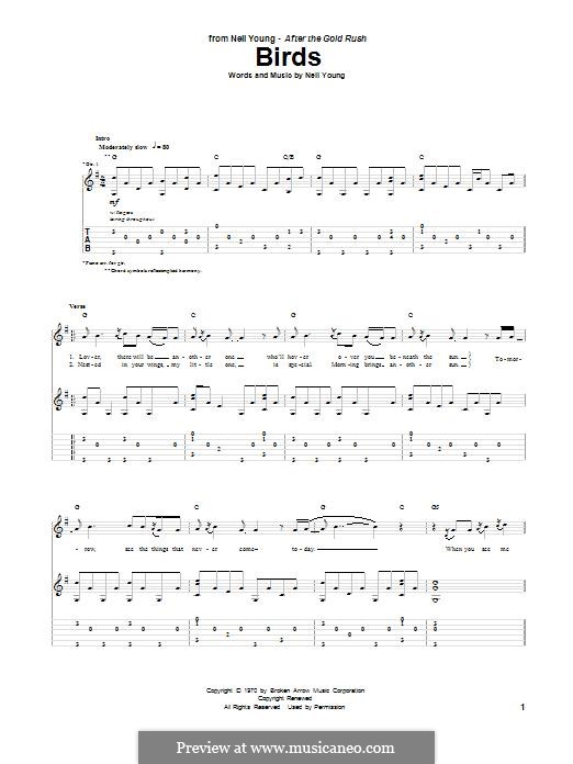 Birds: Für Gitarre mit Tabulatur by Neil Young