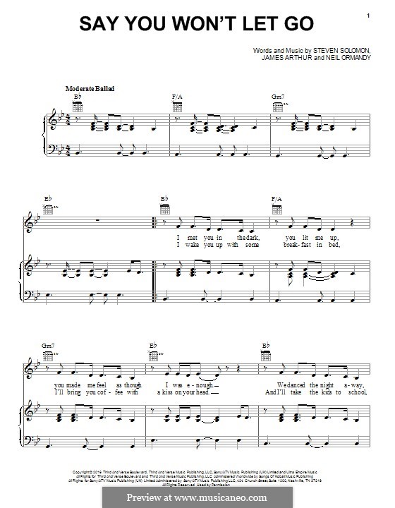 Say You Won't Let Go: Für Stimme und Klavier (oder Gitarre) by James Arthur, Neil Ormandy, Steven Solovan