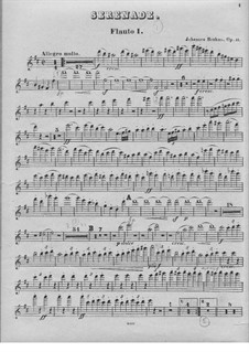 Ständchen Nr.1 in D-Dur, Op.11: Flötenstimme I by Johannes Brahms