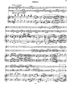 Streichsextett Nr.2 in G-Dur, Op.36: Teil II. Version für Klaviertrio by Johannes Brahms