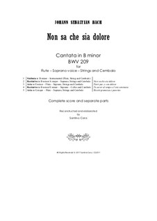 Non sa che sia dolore, BWV 209: For flute, soprano, strings and cembalo by Johann Sebastian Bach
