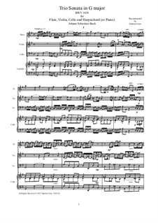 Sonate für Flöte, Violine und Cembalo in G-Dur, BWV 1038: Partitur, Stimmen by Johann Sebastian Bach