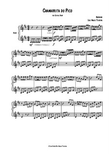 Chamarrita: For gothic harp by folklore
