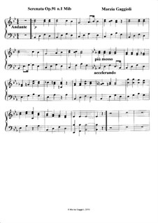 Serenata No.1 in Mi Bemolle Maggiore, Op.91: Serenata No.1 in Mi Bemolle Maggiore by Marzia Gaggioli