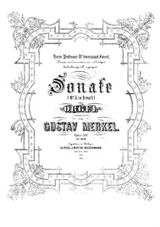 Sonate für Orgel Nr.5 in d-Moll, Op.118: Sonate für Orgel Nr.5 in d-Moll by Gustav Adolf Merkel