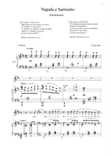 Napule e Surriento: Für Stimme und Klavier by Ernesto Tagliaferri