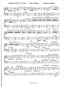 Sinfonia No.7 in La Minore, Op.117: I. Allegro by Marzia Gaggioli