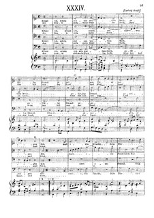 Könnt ich, schön reines werthes Weib: Könnt ich, schön reines werthes Weib by Ludwig Senfl