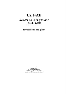 Sonate für Viola da Gamba und Cembalo Nr.3 in g-Moll, BWV 1029: Bearbeitung für Cello und Klavier by Johann Sebastian Bach