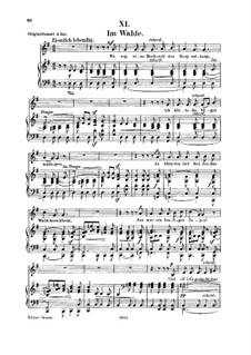 Nr.11 Im Walde: Für Stimme und Klavier by Robert Schumann