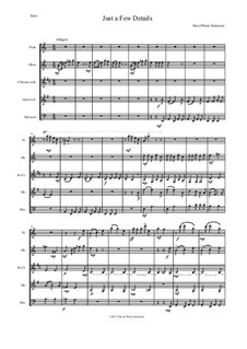 Just a Few Details: For wind quintet by David W Solomons