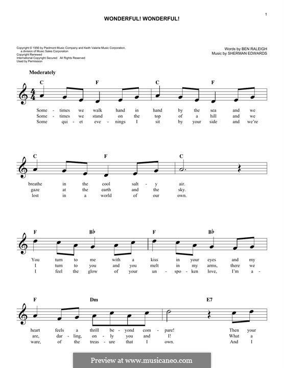 Wonderful! Wonderful!: Melodische Linie by Sherman Edwards
