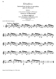 Vierundzwanzig Etüden für Gitarre, Op.100: Etüden Nr.1-2 by Mauro Giuliani