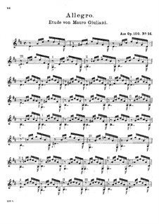 Vierundzwanzig Etüden für Gitarre, Op.100: Etüde No.14 Allegro by Mauro Giuliani