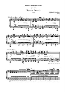 Sonata brevis: Sonata brevis by Mikhail Arkadev