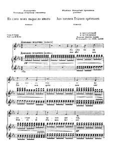 From My Tears: Für Stimme und Klavier by Modest Mussorgski