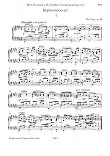 Improvisationen für Klavier, Op.18: Vollsammlung by Max Reger