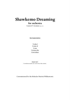 Shawkemo Dreaming (2009) for string orchestra, Op.811: Score and parts by Carson Cooman