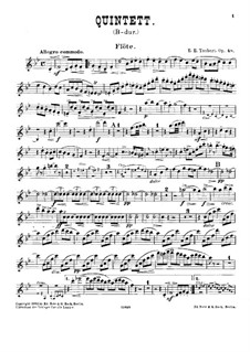Quintett für Klavier und Blasinstrumente, Op.48: Flötenstimme by Ernst Eduard Taubert