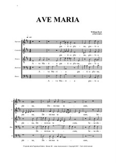 Ave Maria for SATBarB Choir: Ave Maria for SATBarB Choir by William Byrd