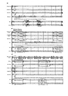 Die Walküre, WWV 86b: Akt I, Szene III by Richard Wagner