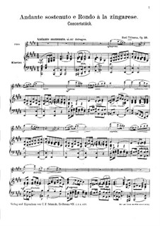 Andante sostenuto und Rondo à la zingarese, Op.23: Für Flöte und Klavier by Rudolf Tillmetz