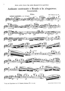 Andante sostenuto und Rondo à la zingarese, Op.23: Für Flöte und Klavier – Flötenstimme by Rudolf Tillmetz