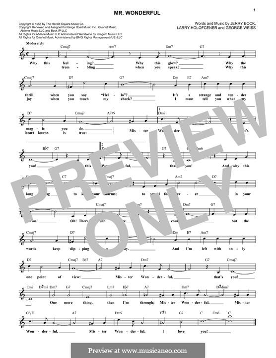 Mr. Wonderful (Peggy Lee): Melodische Linie by George David Weiss, Jerry Bock, Larry Holofcener