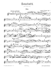Sextett für Klavier und Blasinstrumente, Op.6: Flötenstimme by Ludwig Thuille