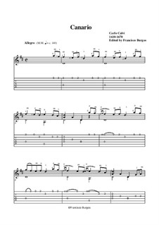 Canario: For guitar. Music and tab by Carlo Calvi