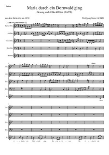 Maria durch ein Dornwald ging: Für Stimme und vier Blockflöten by folklore