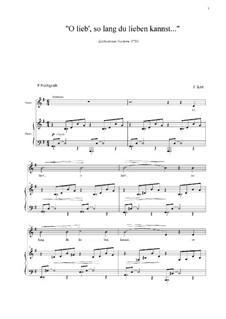 O lieb so lang du lieben kannst, S.298: Für Tenor und Klavier by Franz Liszt