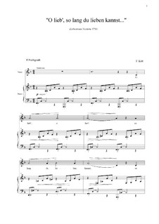 O lieb so lang du lieben kannst, S.298: Für Baritone und Klavier by Franz Liszt