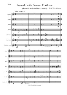 Serenade in the summer residence (Serenata nella residenza estiva): For flute septet or flute choir by David W Solomons
