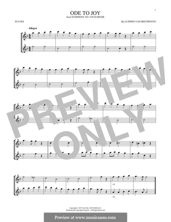 Ode an die Freude: Version for two flutes by Ludwig van Beethoven