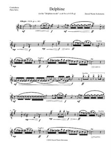 Delphine: For contrabass flute solo by David W Solomons