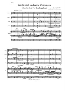 Ein deutsches Requiem, Op.45: Movement IV, for string quartet and organ by Johannes Brahms